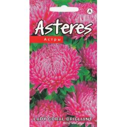Sēklas astres lady coral brilliant rose