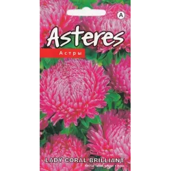 Sēklas Kurzemes sēklas asteres Lady Coral Brilliant, 0.2 g