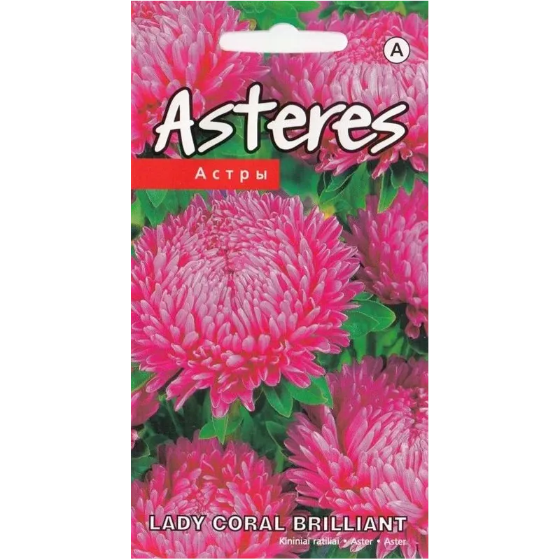 Sēklas Kurzemes sēklas asteres Lady Coral Brilliant, 0.2 g