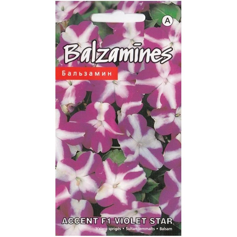 Sēklas balzamīnes accent f1 violet star