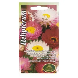 Семена Kurzemes sēklas акроклиниум Helipterum, 1 г