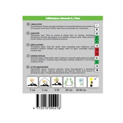 Sēklas ķīnas asteres queen of the mark