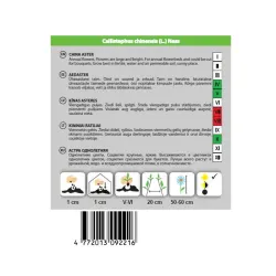 Семена Okko каллистефус Queen of the Market, 0.5 г