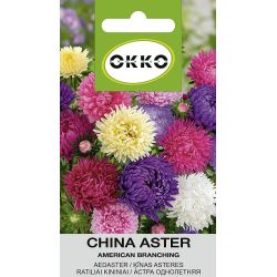 Sēklas ķīnas asteres american branching