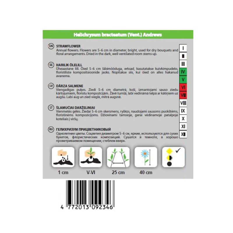 Dārza salmene tom trumb