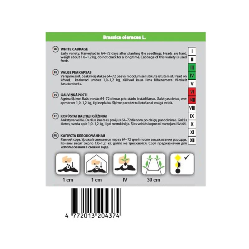 Sēklas galviņkāposti dita