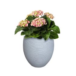 Puķu pods rp17-695 d28 h26 domoletti