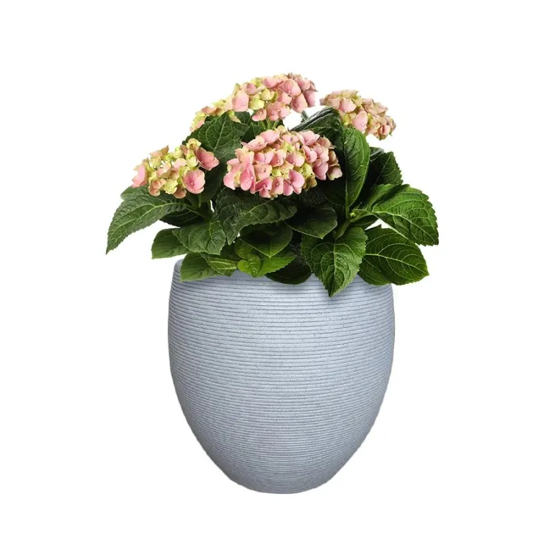 Puķu pods Domoletti RP17-695_S, cementa, balta krās.