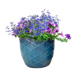 Ker.puķ pods op16-435 d52 h45 domoletti