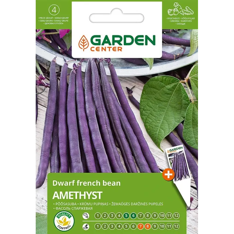 Sēklas Garden Center, pupiņas ,mazas, AMETHYST, 8 g