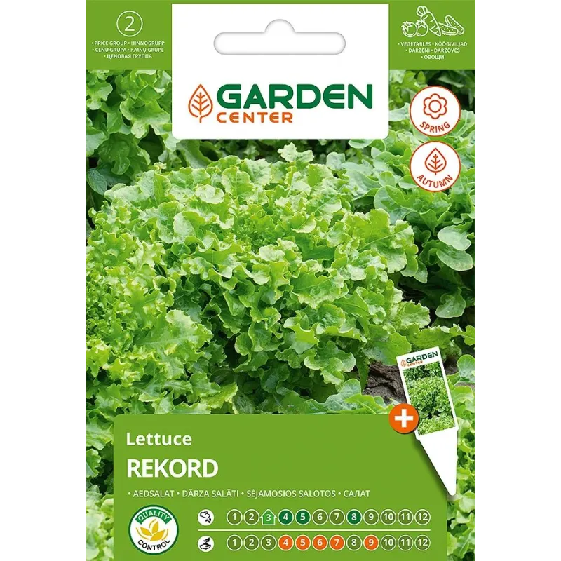 Sēklas Garden Center, salāti REKORD, 1 g