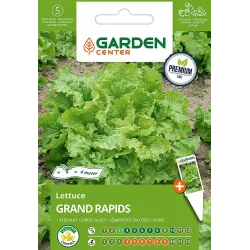 Sėklos Garden Center, salotos GRAND RAPIDS, 10 g, 4 m