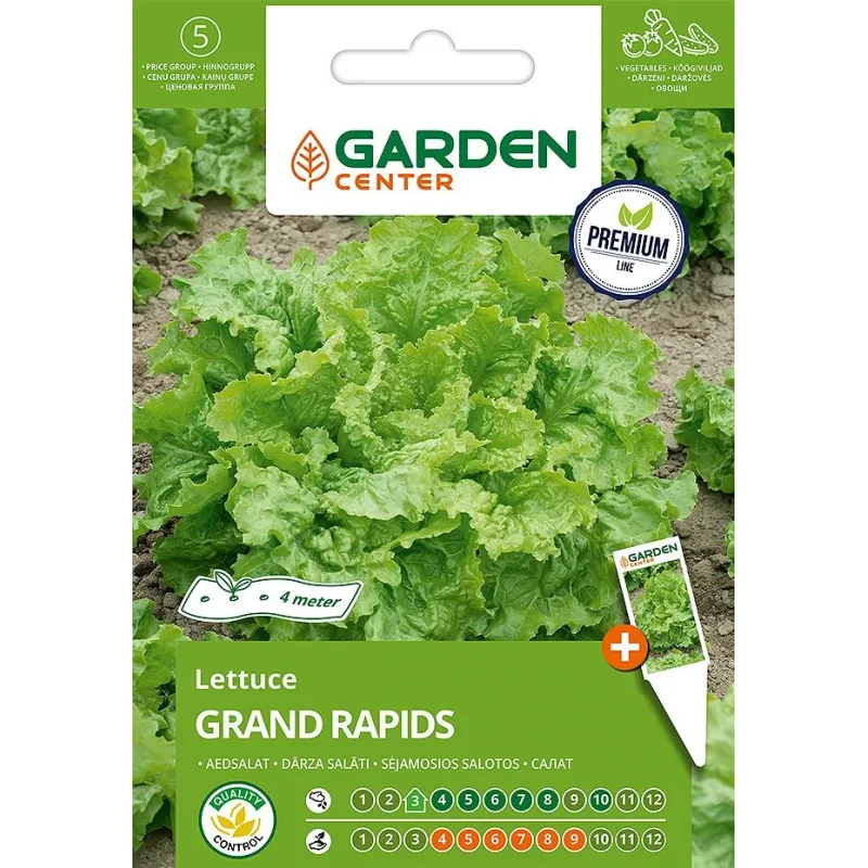 Sēklas Garden Center, salāti GRAND RAPIDS, 10 g, 4 m