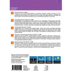 Sēklas ziedu cinijas scarlet flame 1g