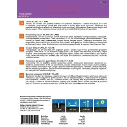 Seemned Garden Center pruudisõlg SCARLET FLAME, 1 g