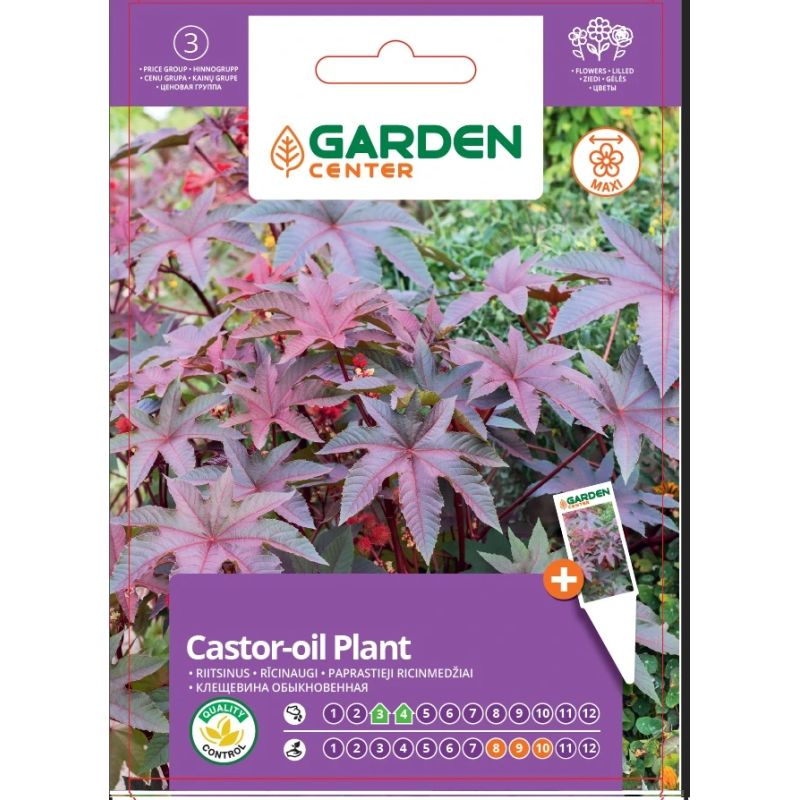 Sēklas ziedu rīcinaugs 5s