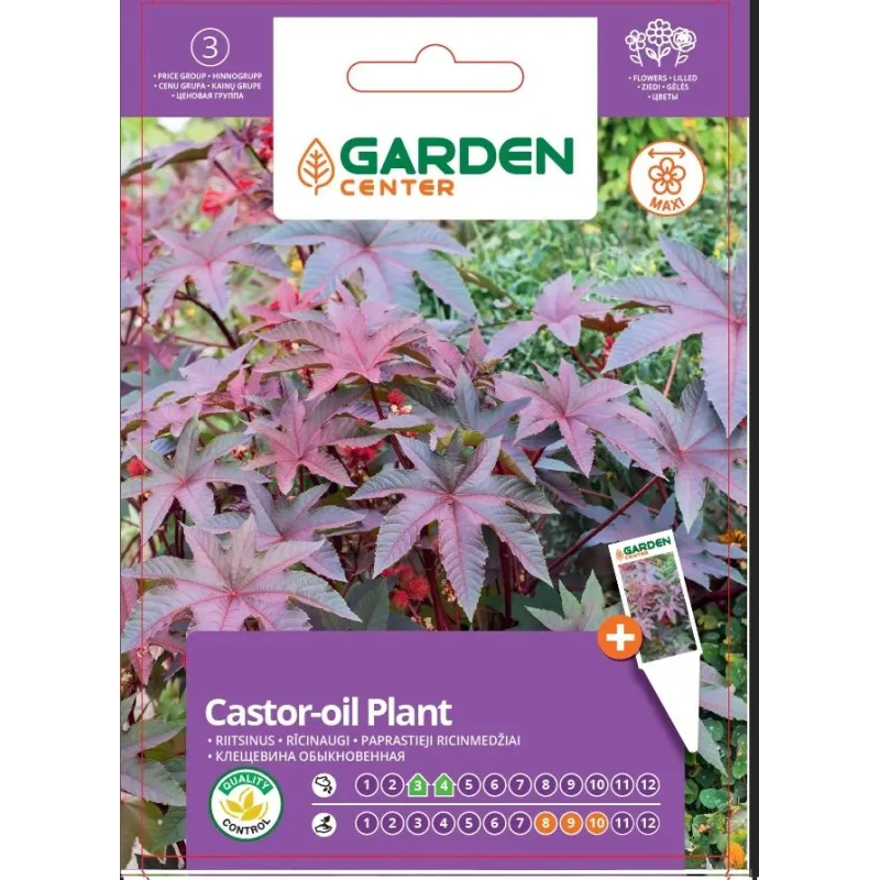 Sēklas Garden Center rīcinaugs, 7 g