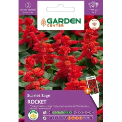 Sēklas ziedu salvijas rocket 0.4g