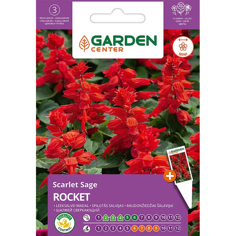 Sēklas ziedu salvijas rocket 0.4g