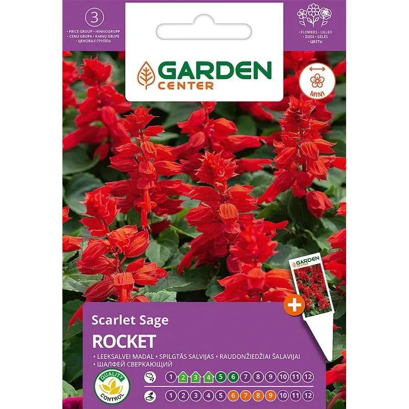 Sēklas Garden Center salvijas ROCKET, 0.4 g