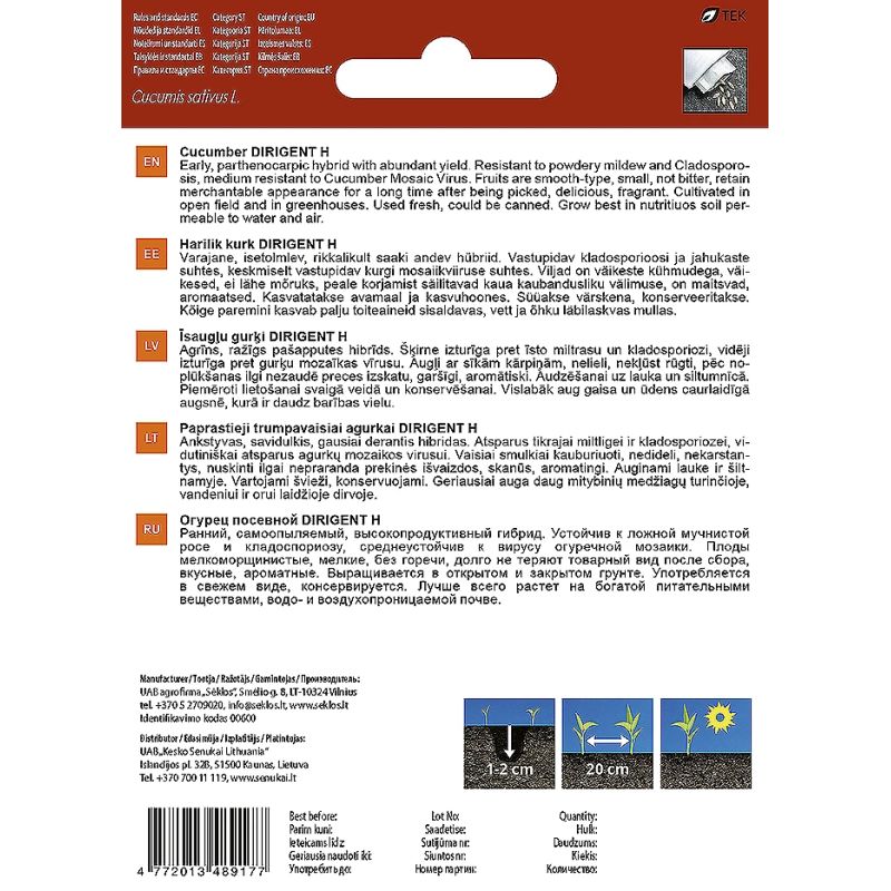 Sēklas dārzeņu kornišonu dirigent h 10s