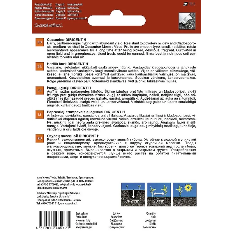 Sēklas Garden Center, gurķi DIRIGENT H, 10 gab.