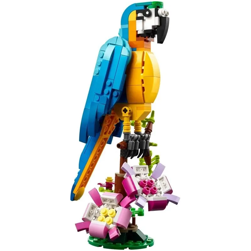 Konstruktorius LEGO Creator 3in1 Egzotiška papūga 31136, 253 vnt.