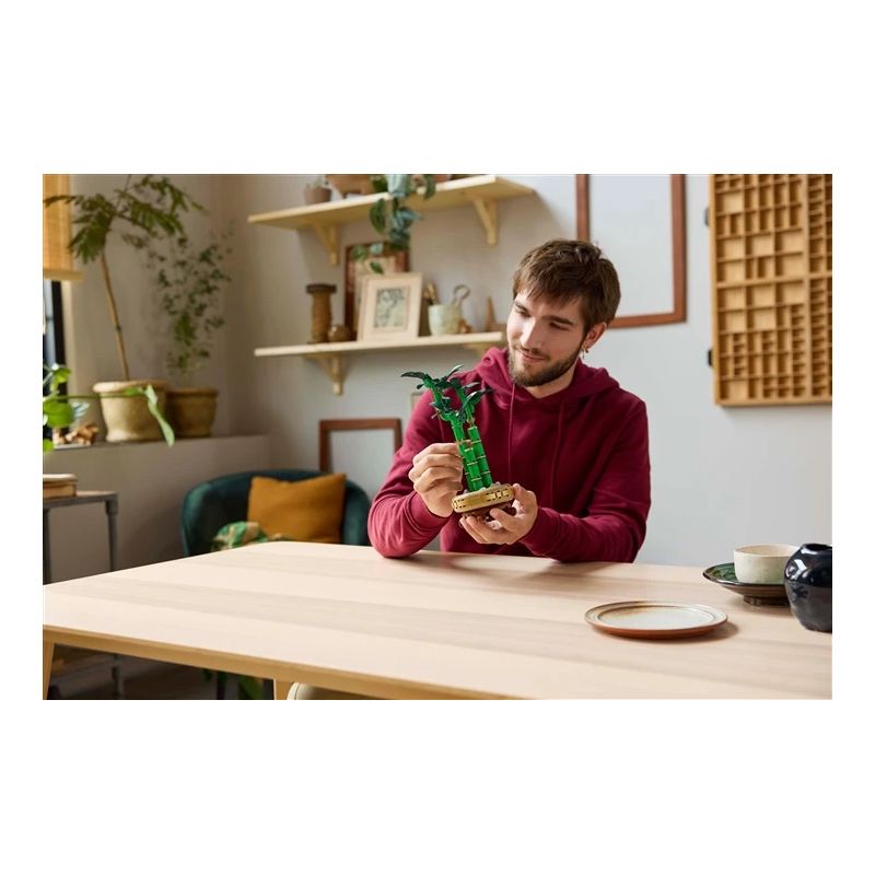 Konstruktorius LEGO Botanicals Laimę nešantis bambukas 10344, 325 vnt.