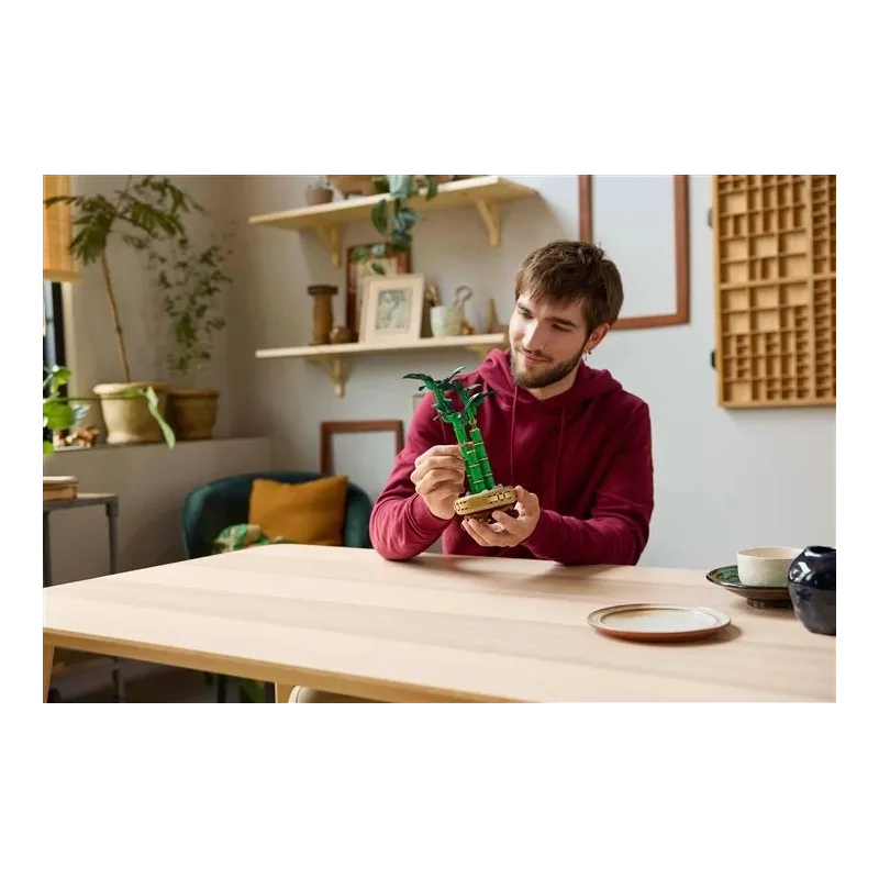 Konstruktors LEGO Botanicals Veiksmes bambuss 10344, 325 gab.