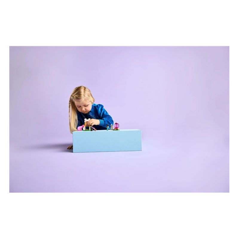 Konstruktor LEGO Friends Kutsikate mänguväljak 42665, 66 tk