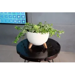 Gėlių vazonas Lamela Roma 882-74, plastikinis, kreminė sp.