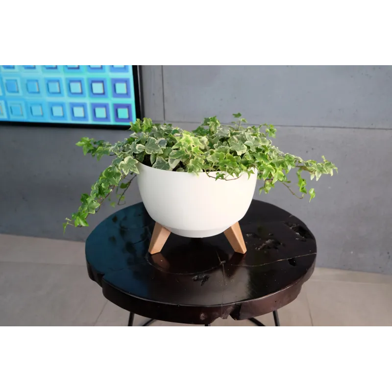 Puķu pods Lamela Roma 882-74, plastmasa, krēmkrāsa