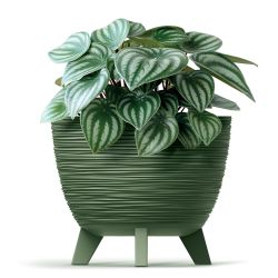 Puķupods furu eco wood dfur300-5615c