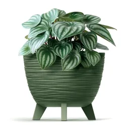 Puķu pods Prosperplast Furu DFUR300-5615C, plastmasa, zaļa