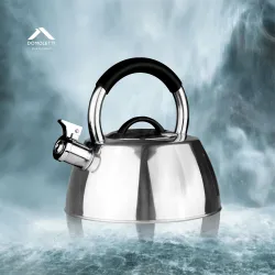 Чайник со свистком Domoletti CWT003B, 3 л, нержавеющей стали цв.