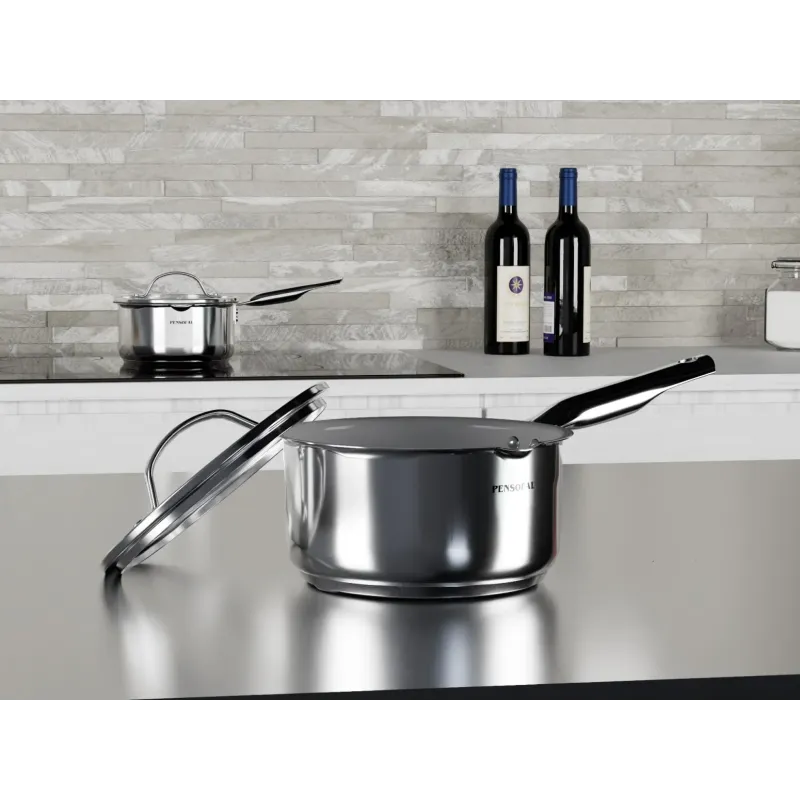 Pensofal 1612 Single-handle Saucepan With Glass Lid Milk Boiler - New Era 16cm