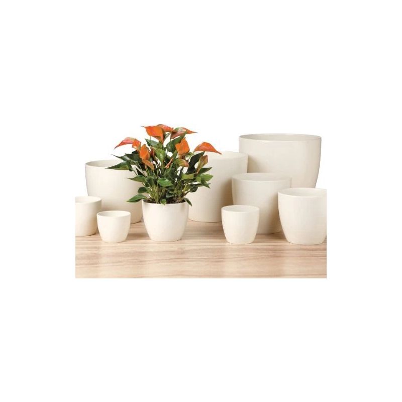 Pods puķu creme 920-28 d28