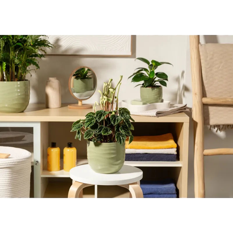 Puķu pods Scheurich 69638, keramika, zaļa