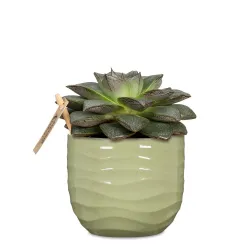 Gėlių vazonas Scheurich 69639, keramika, žalia sp.