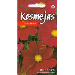 Sēklas kosmejas Rubenza Seeds, 3 g