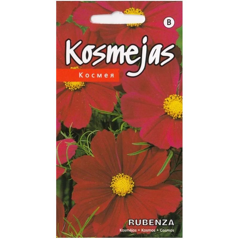 Sēklas kosmejas rubenza