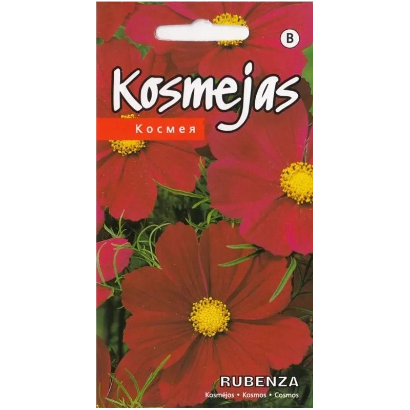 Sēklas kosmejas Rubenza Seeds, 3 g