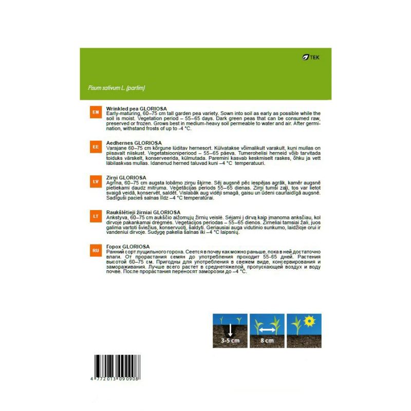 Sēklas zirņi gloriosa