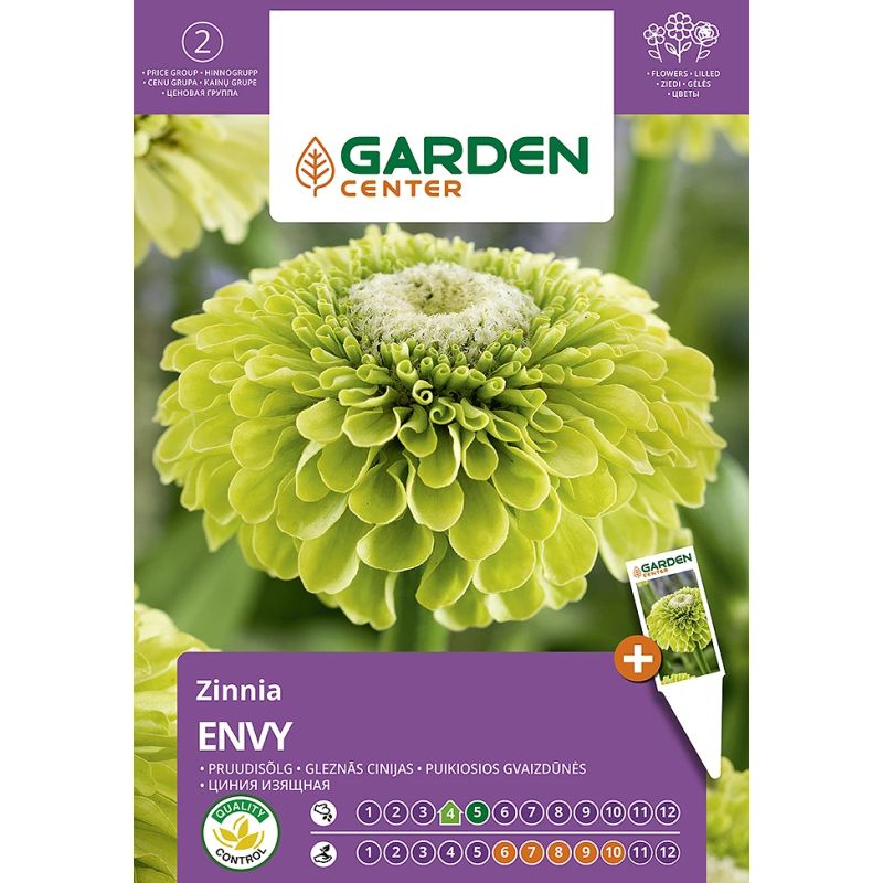 Sēklas ziedu gleznā cīnija envy 1g