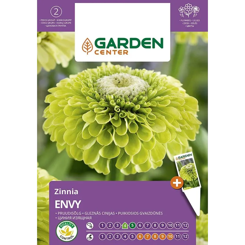 Sēklas Garden Center cinnija Envy, 1 g