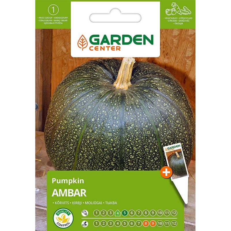 Sēklas lielo ķirbju ambar