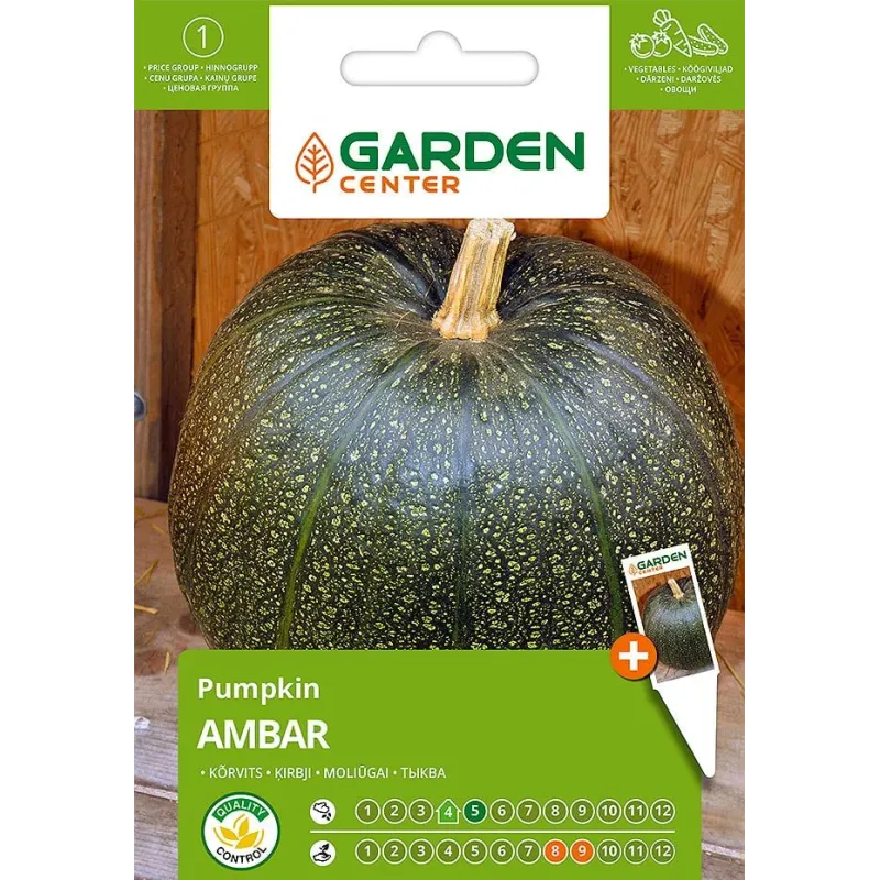 Sēklas Garden Center, ķirbis Ambar, 2 g