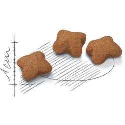 Barība kaķu kitten sterilised 2 kg