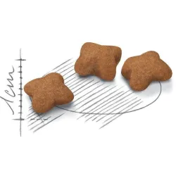 Barība kaķu kitten sterilised 2 kg