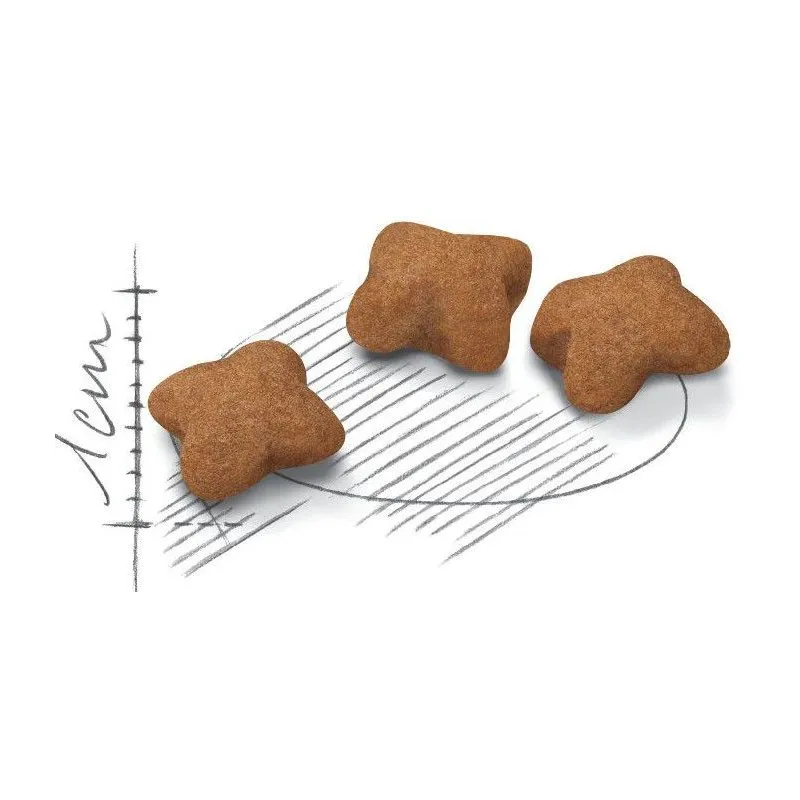 Sausas kačių maistas Royal Canin Kitten Sterilised, vištiena-ryžiai-paukštiena, 2 kg